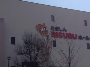 IMG_6381